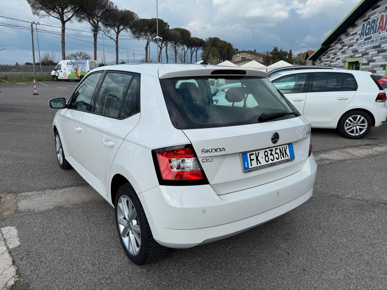 Skoda Fabia 1.4 TDI 75CV 5P AMBITION AUTOCARRO N1 2017