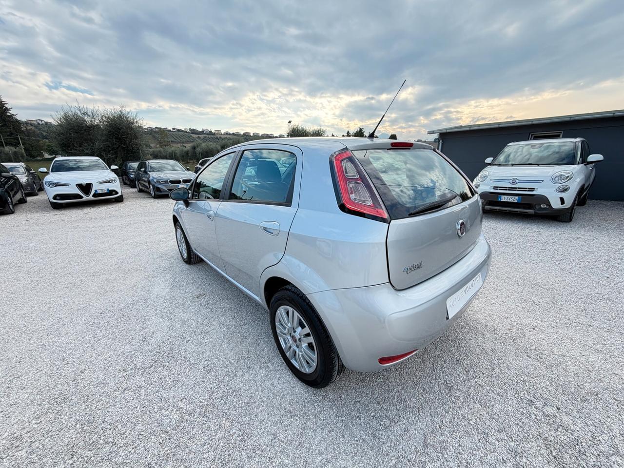Fiat Punto 1.4 8V 5 porte 77 cv Natural Power Lounge 234.480 km