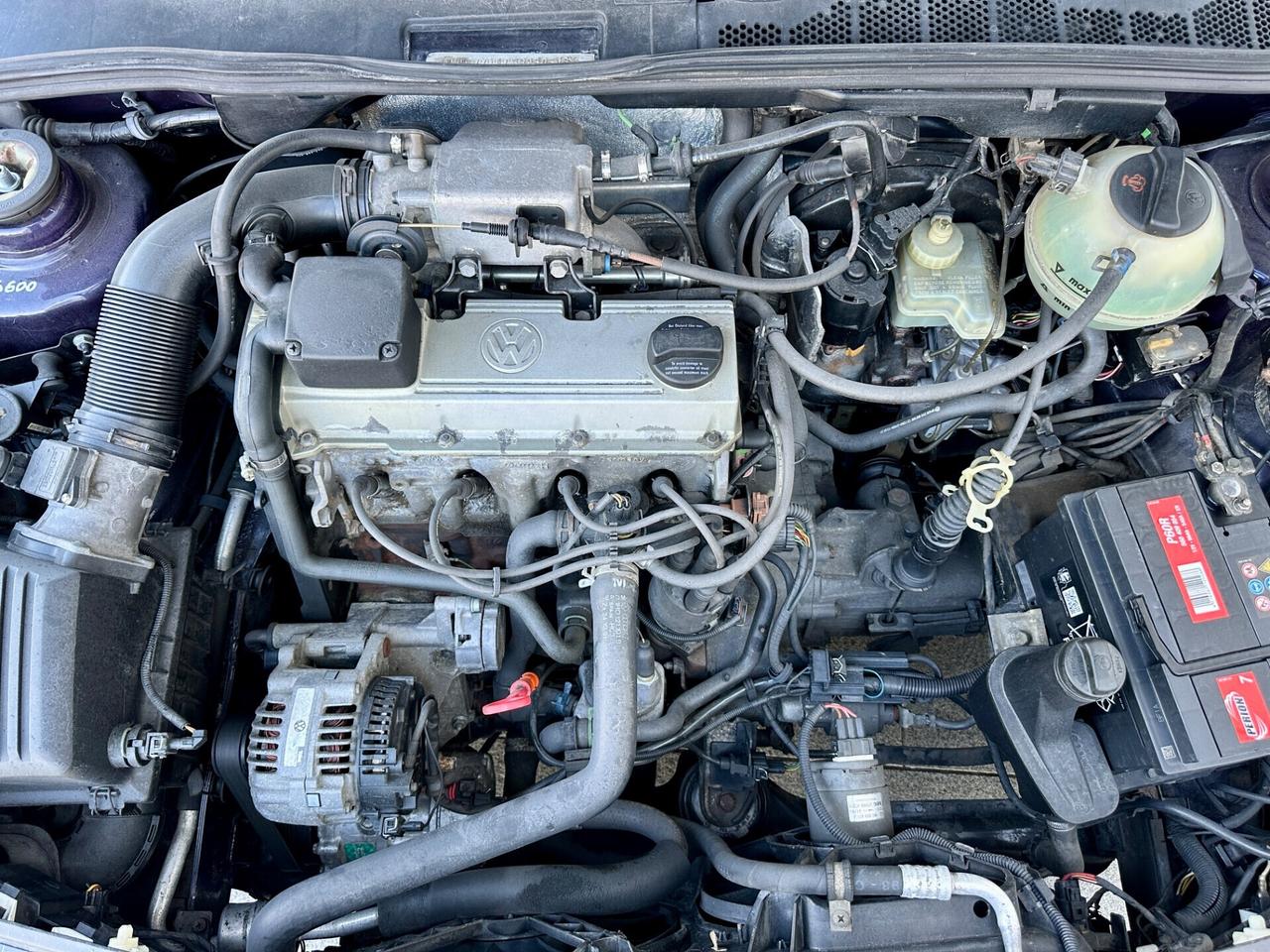 Volkswagen Golf GTI Golf 2.0 cat 3 porte GTI Edition