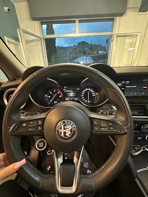 Alfa Romeo Stelvio 2.2 Turbodiesel 160 CV AT8 RWD Business