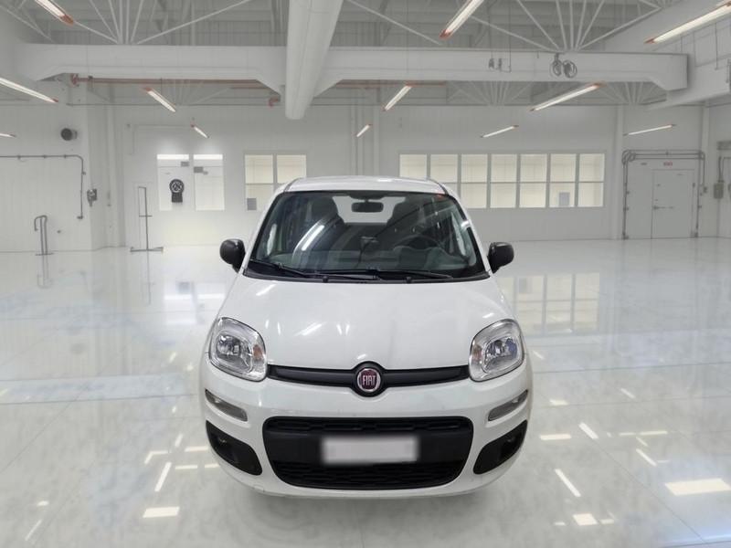 FIAT PANDA 1.2 69 CV SES E6D-TEMP EASY 5 PORTE BERLINA