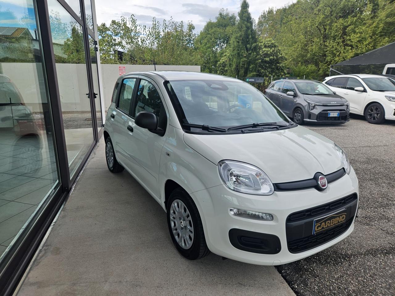 Fiat Panda 1.0 FireFly S&S Hybrid Icon
