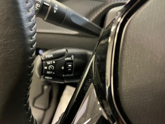 PEUGEOT 2008 PureTech 100 S&S Active pari al nuovo!