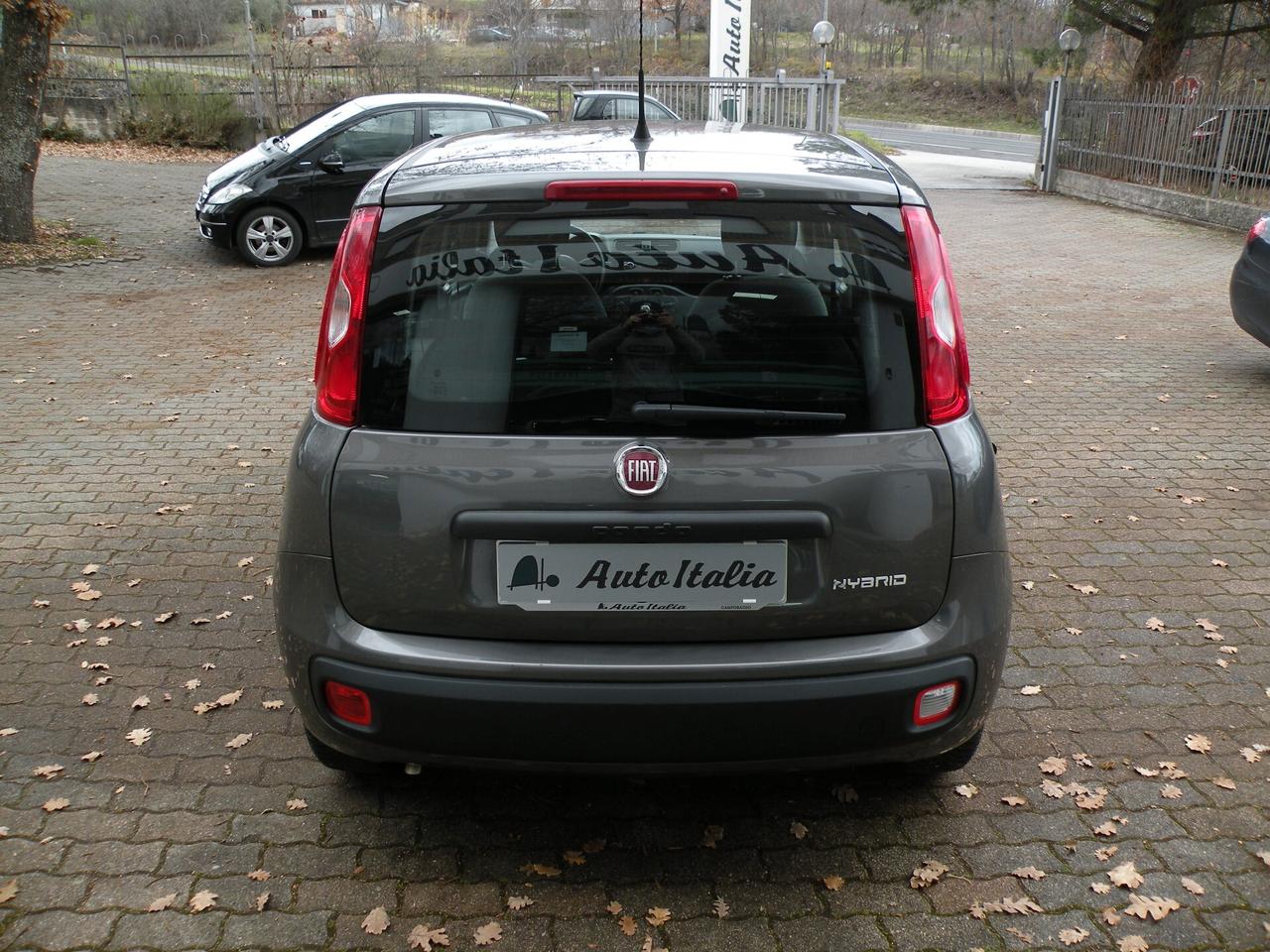 FIAT PANDA 1.0 FireFly 70CV S&S HYBRID 2022