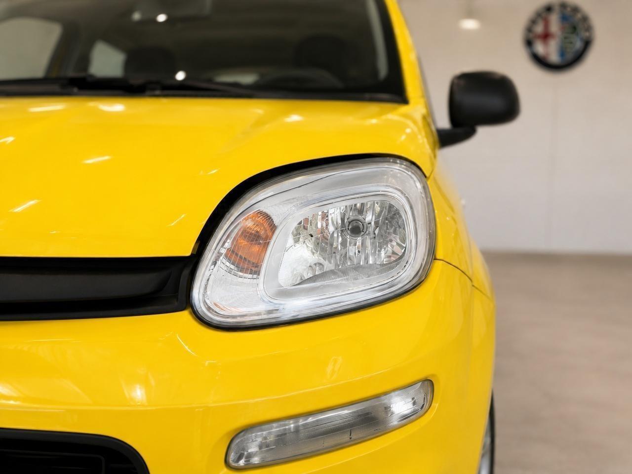 FIAT Pandina III 2024 - Pandina 1.0 firefly hybrid Icon s&s 65cv 5p.ti