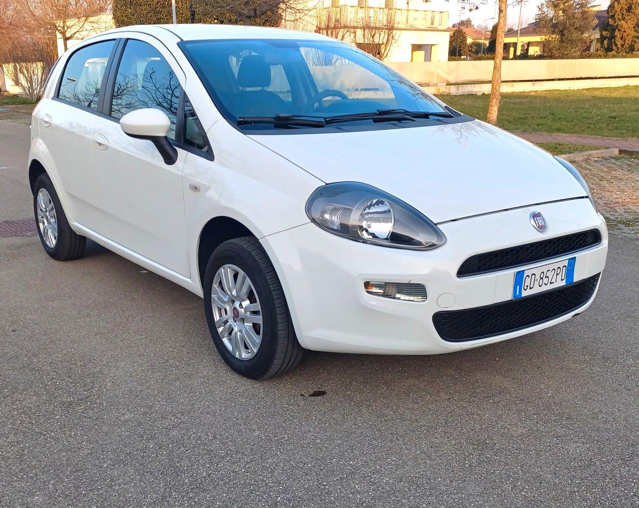 Fiat Punto Evo Punto Evo 1.4 5 porte Dynamic Natural Power