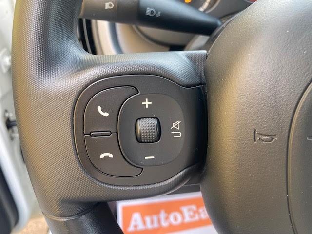 Fiat Panda 1.0 FireFly S&S Hybrid City Cross