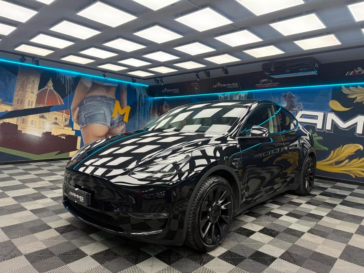 Tesla Model Y Long Range AWD (629)