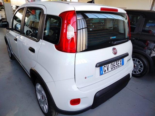 FIAT Panda 1.0 FireFly S&S Hybrid km 2.000