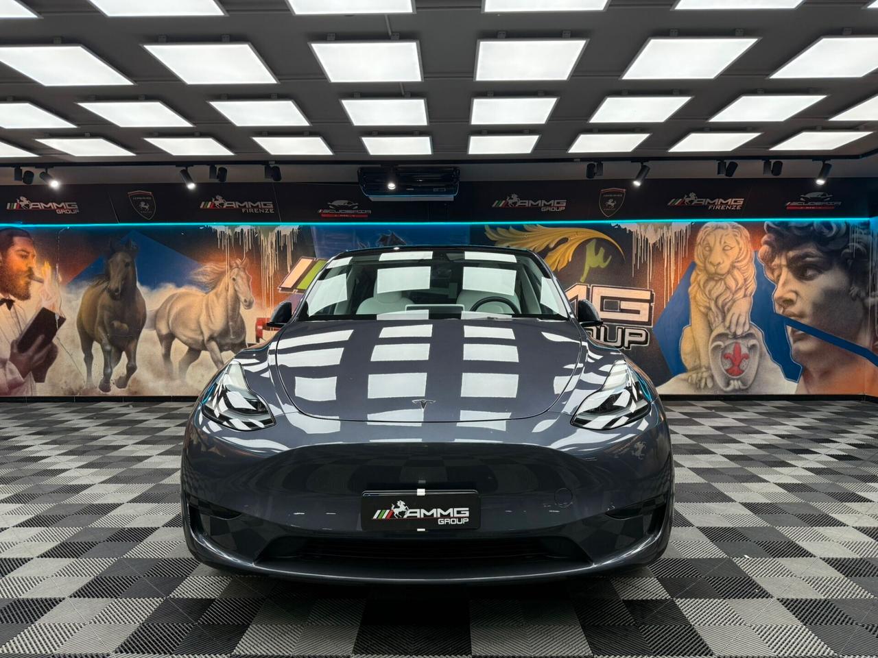 Tesla Model Y RWD (222)