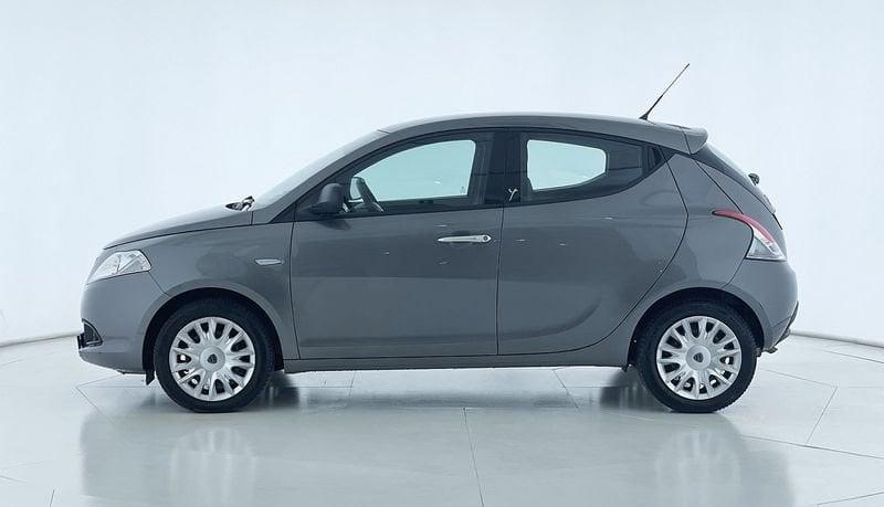 Lancia Ypsilon Ypsilon 1.2 69 CV 5 porte Elefantino