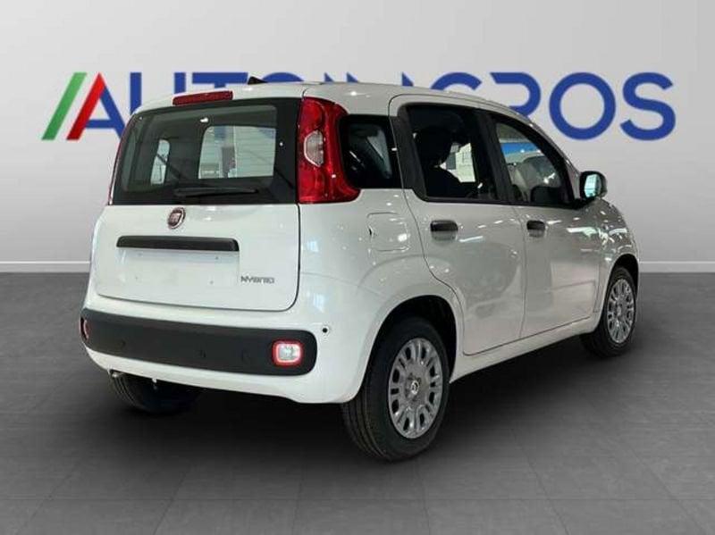 FIAT Panda 1.0 70cv Hybrid Panda