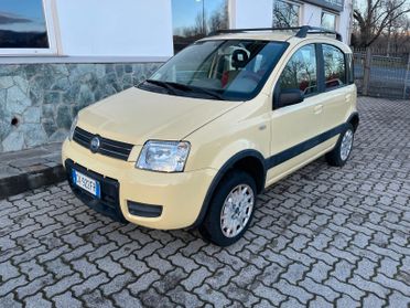 Fiat Panda 1.2 4x4