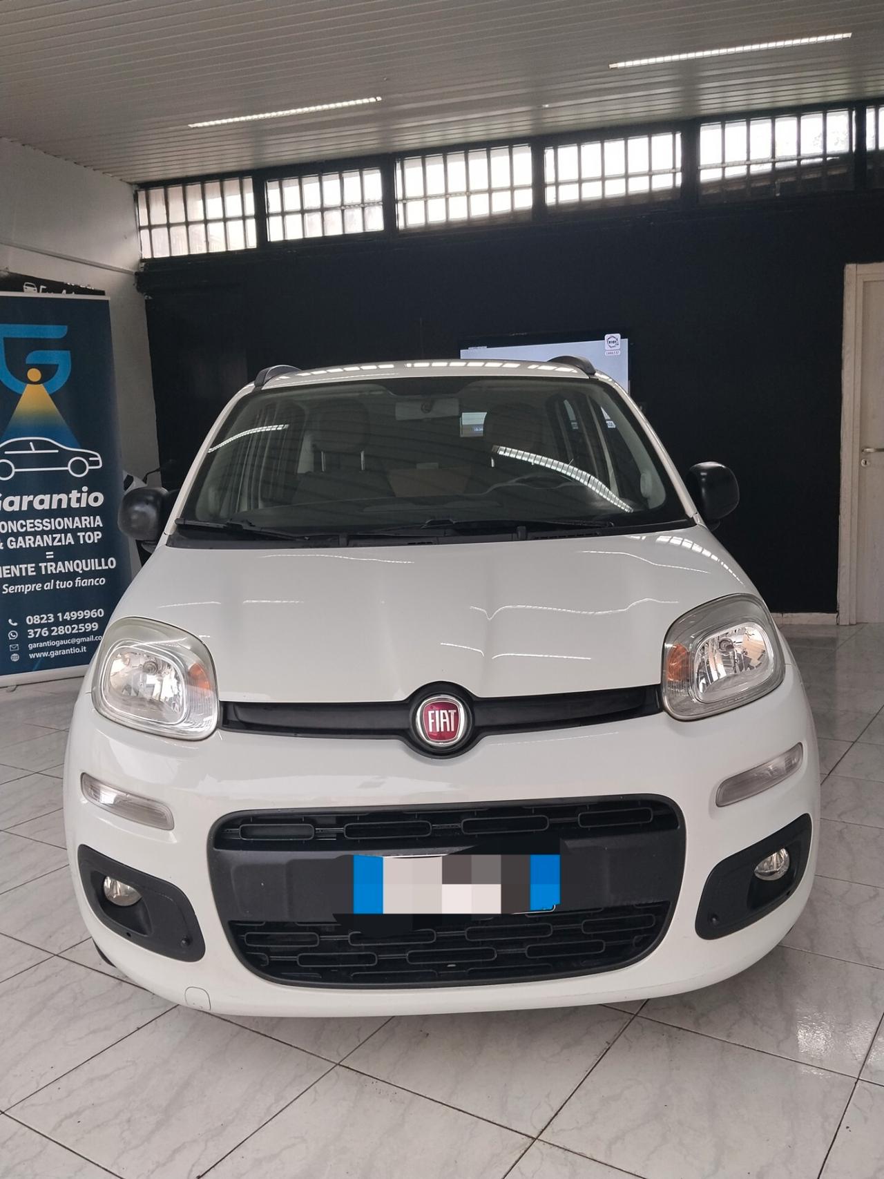 Fiat Panda 1.2 benzina 2014 CON GARANZIA