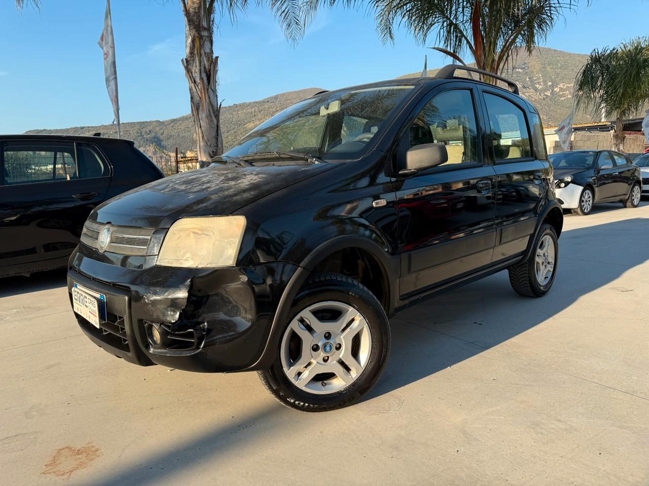 FIAT PANDA 4X4 ANNO 2007 1.3 MULTIJET 69 CV