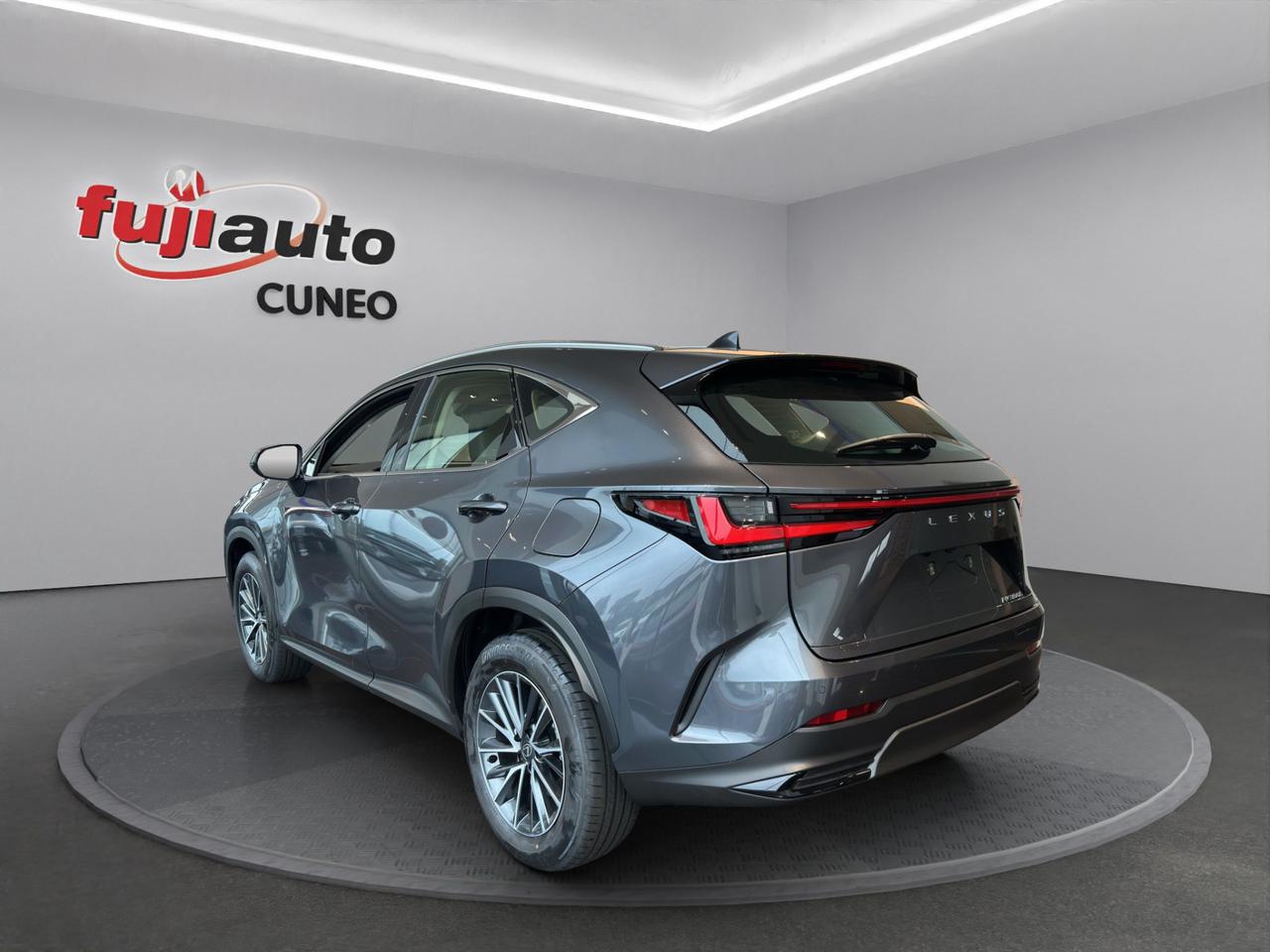 Lexus NX 2.5 Business 4wd 244 cv e-cvt
