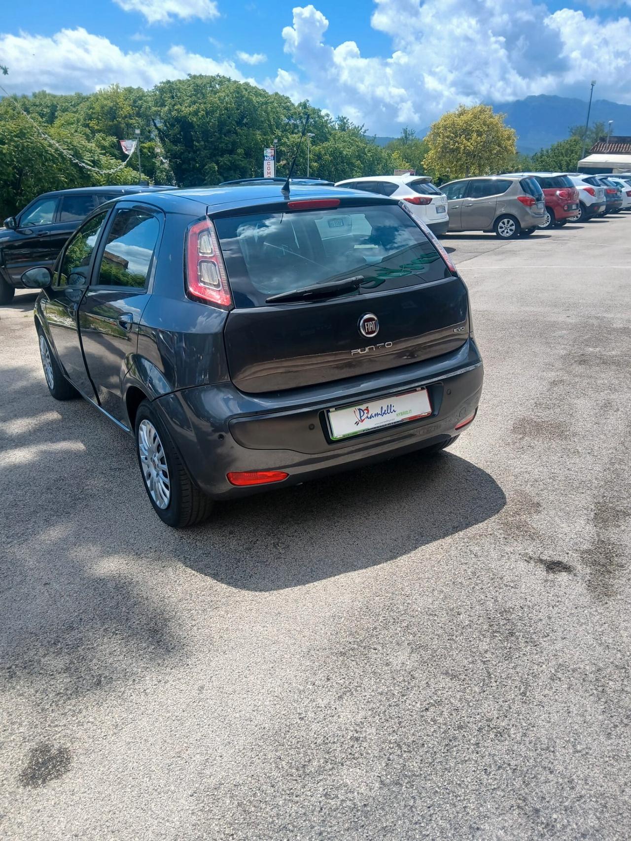 Fiat Punto Evo 1.3 Mjt 75 CV 5 porte Dynamic