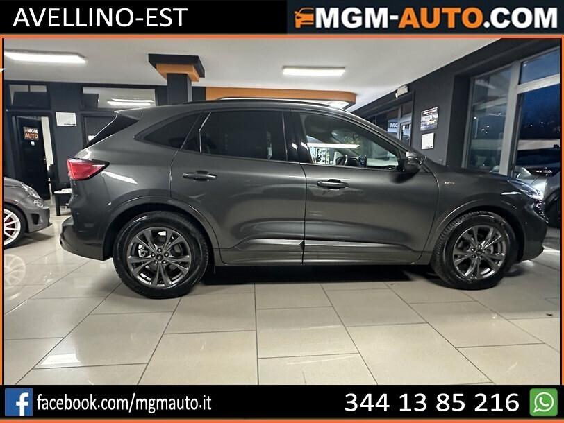 Ford Kuga 1.5 EcoBlue 120 CV aut. 2WD ST-Line X