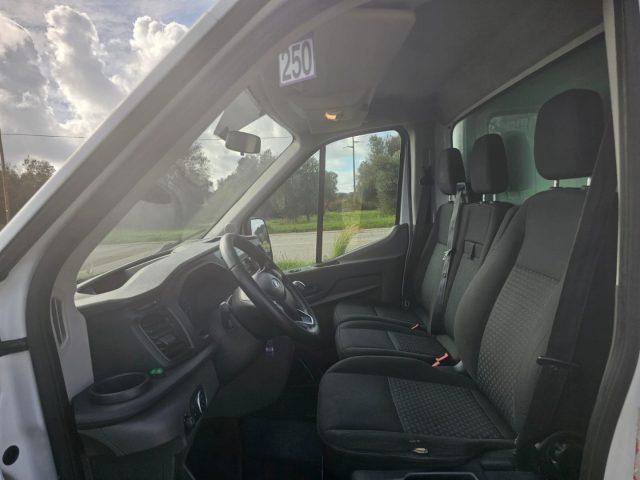 FORD Transit 350 2.0TDCi EcoBlue 130 PL-RG RWD CASSA 8 BANCALI