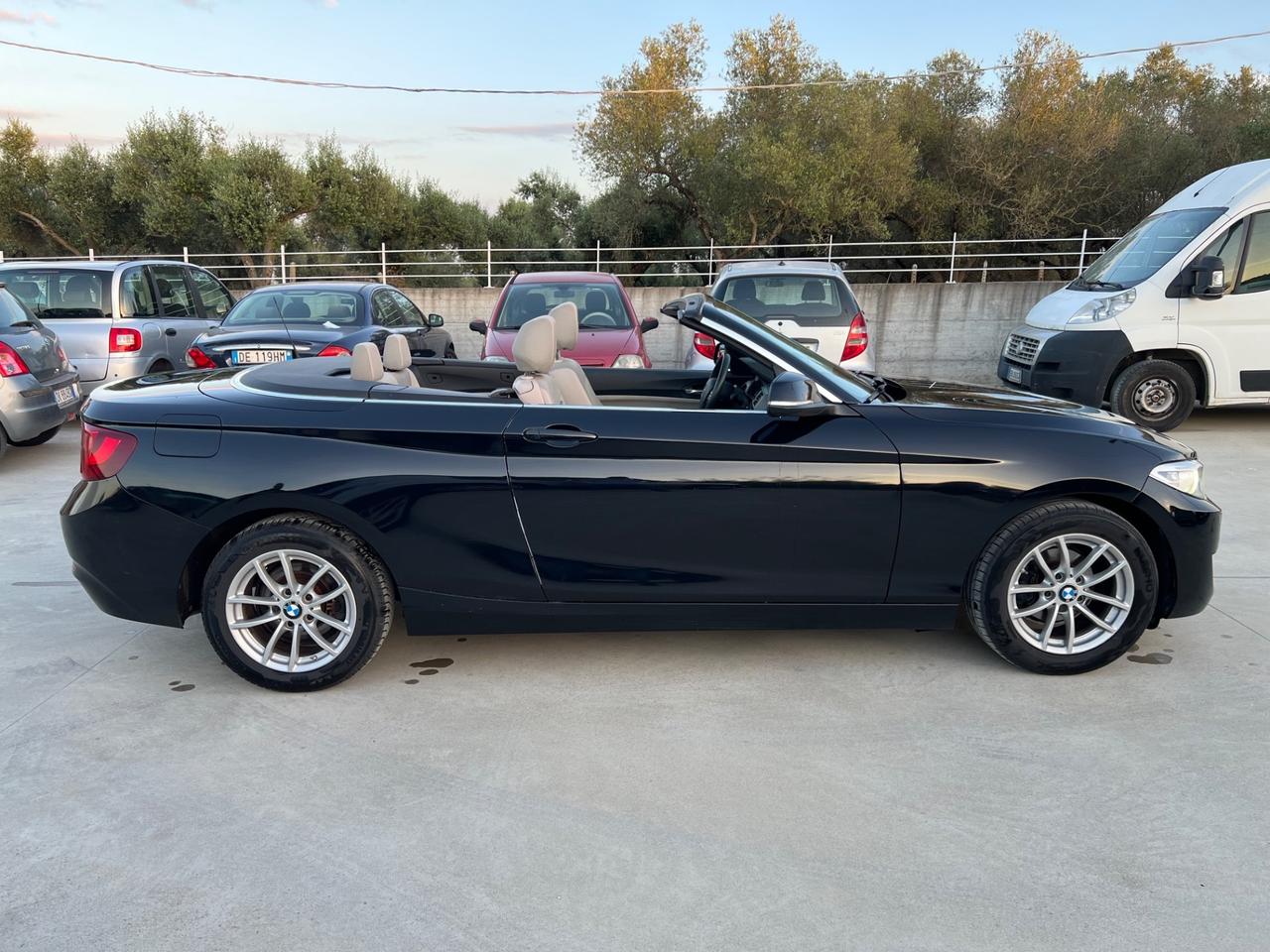 Bmw 218 218i Cabrio Advantage