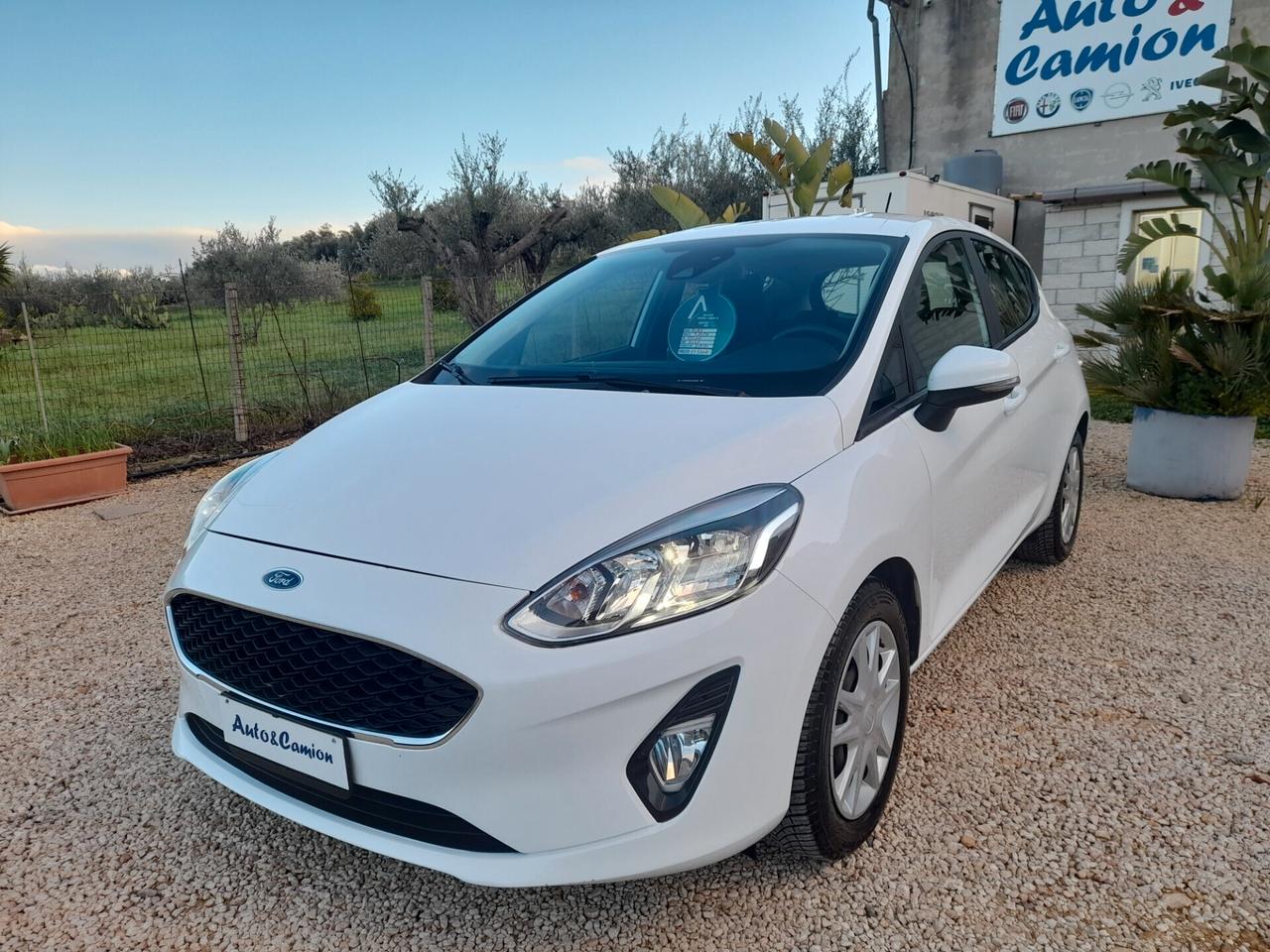 Ford Fiesta 1.5 EcoBlue 5 porte Connect Anno 2020