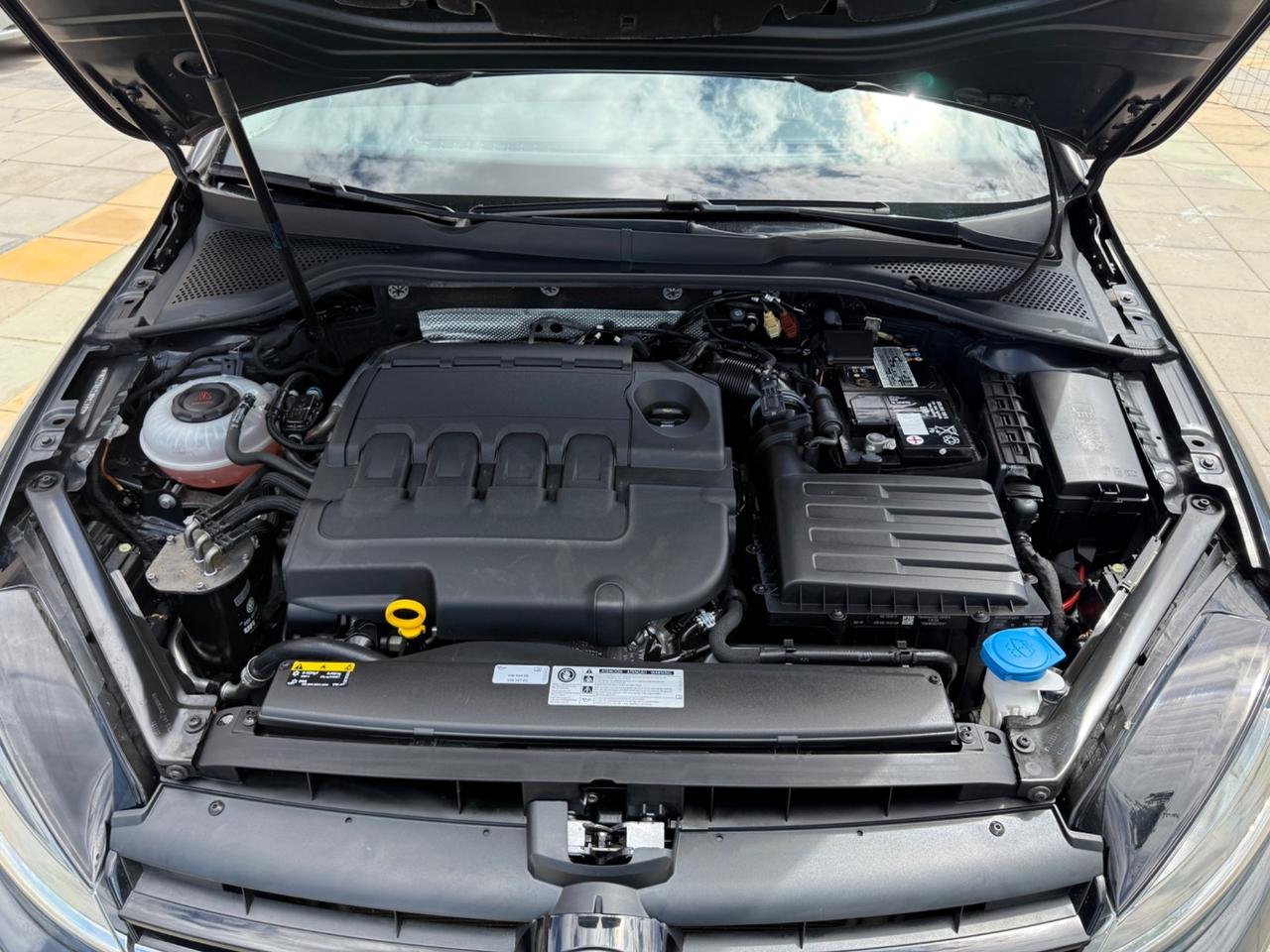 Volkswagen Golf 1.6 TDI 115 CV 5p. BlueMotion Technology