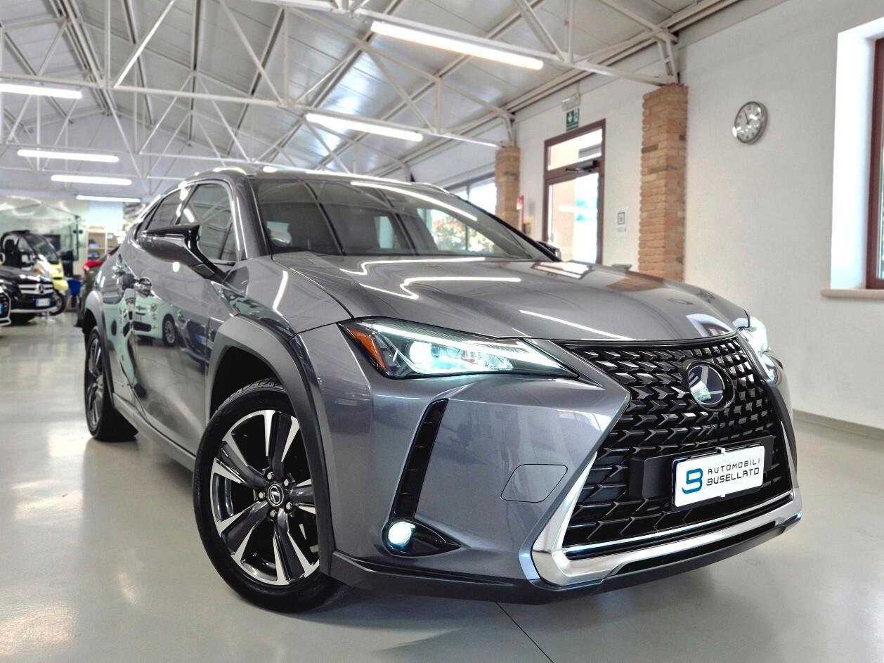 Lexus UX Hybrid 4WD Business