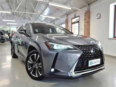 Lexus UX Hybrid 4WD Business