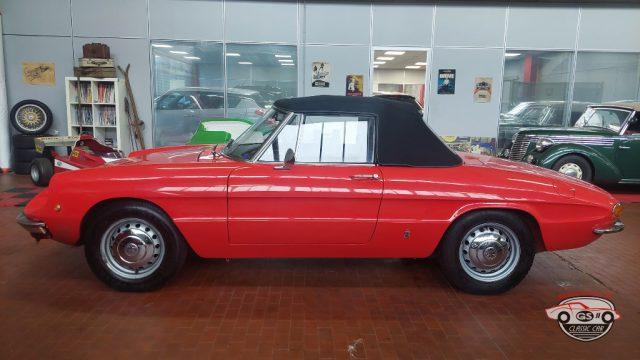 ALFA ROMEO Spider Duetto osso di seppia 1.3