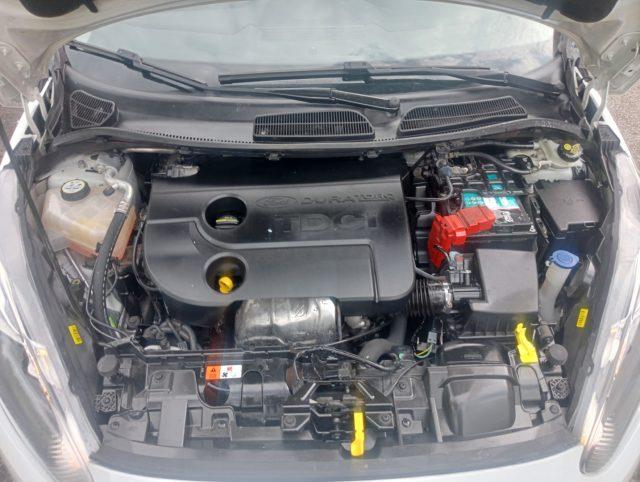 FORD Fiesta 1.5 TDCi 75CV 5 porte "TITANIUM" *uniproprietario*