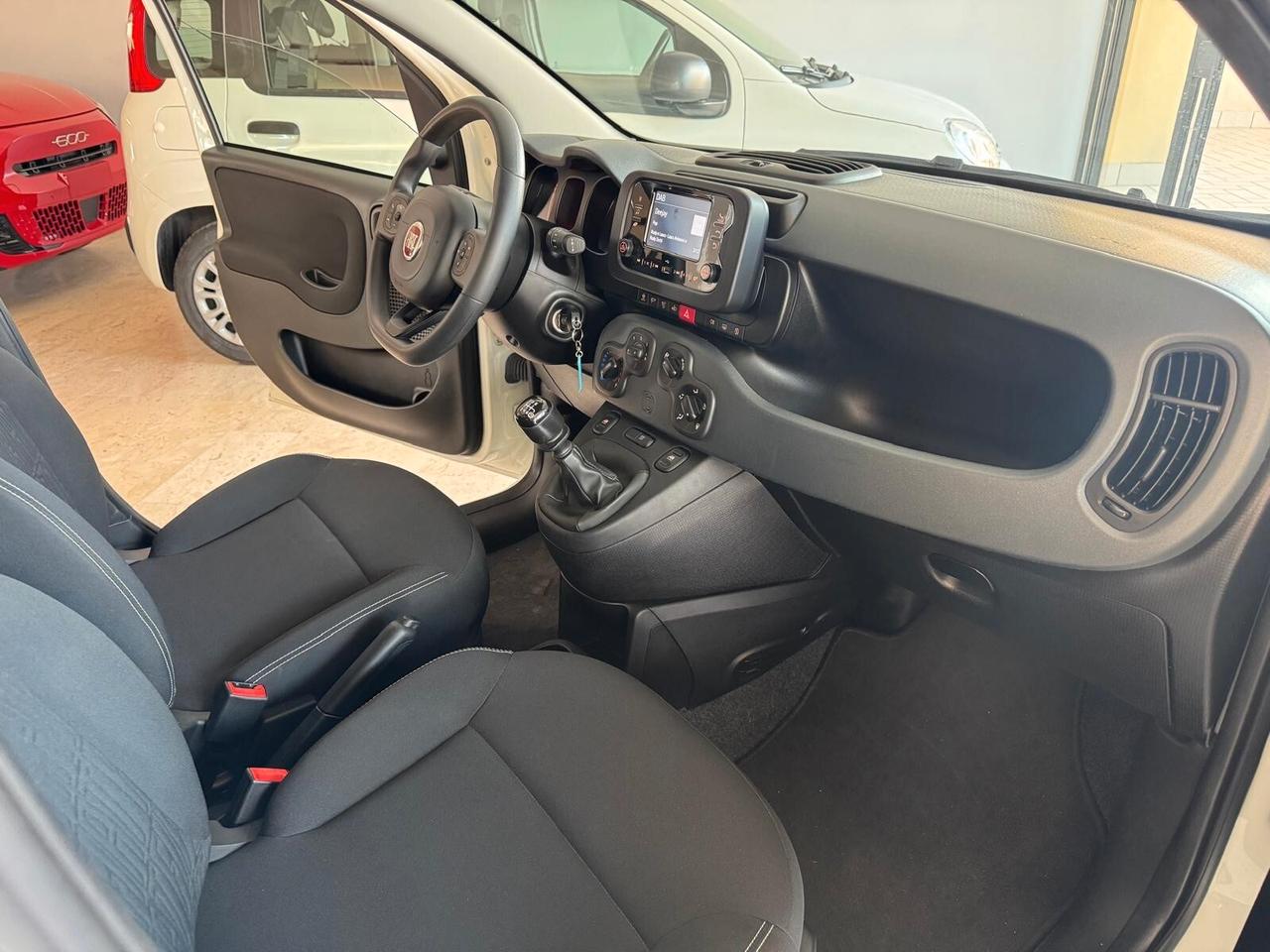 Fiat Panda 1.0 FireFly S&S Hybrid Icon -2024