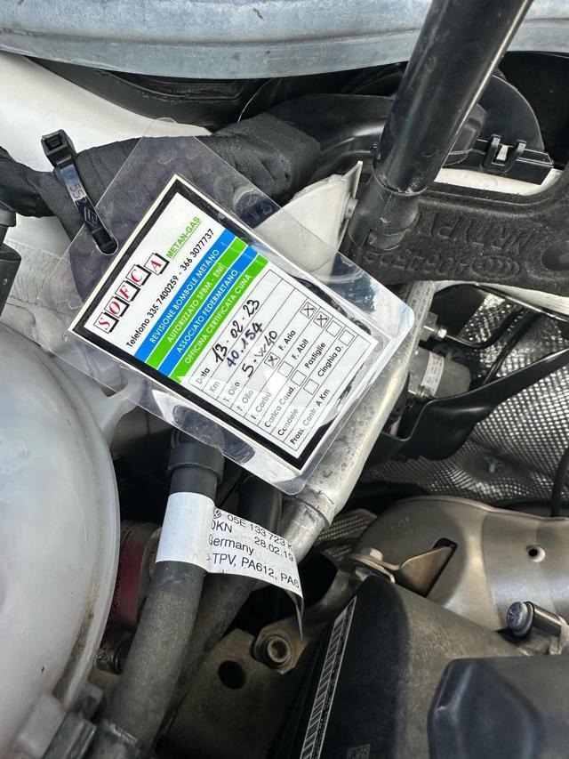 VOLKSWAGEN Golf 1.5 TGI 5p. Executive BlueMotion Technology