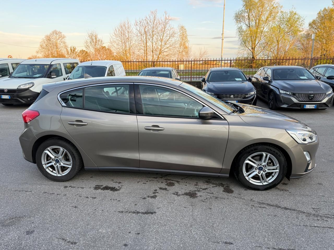 Ford Focus 1.5 EcoBlue 120 CV automatico 5p. Business Co-Pilot