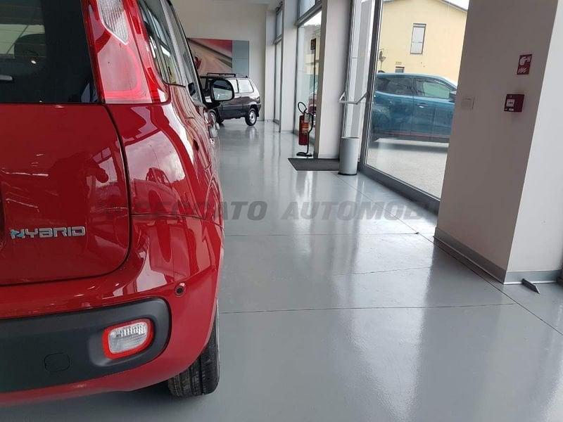 FIAT Panda Panda 1.0 firefly hybrid s&s 70cv