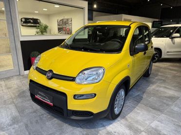 FIAT Panda Panda 1.0 FireFly S&S Hybrid Pandina