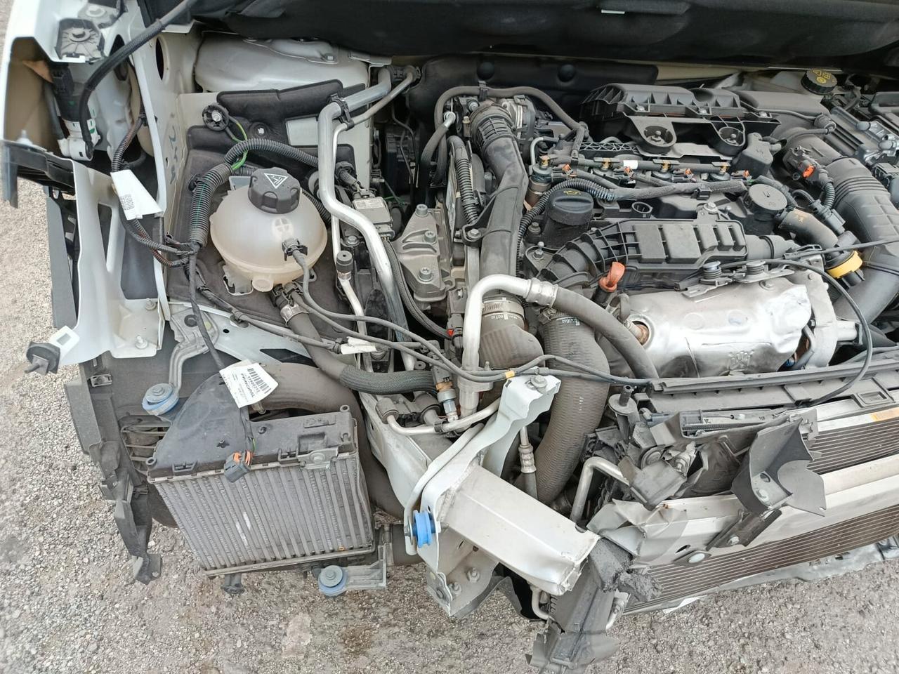 Fiat Doblo 1.5 BlueHdi 100CV Van -2023