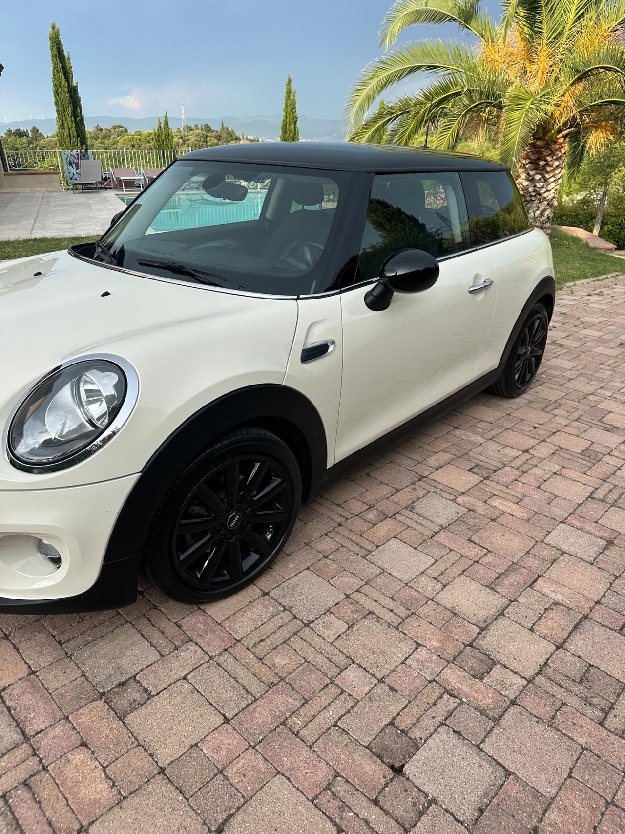 Mini 1.5 One D