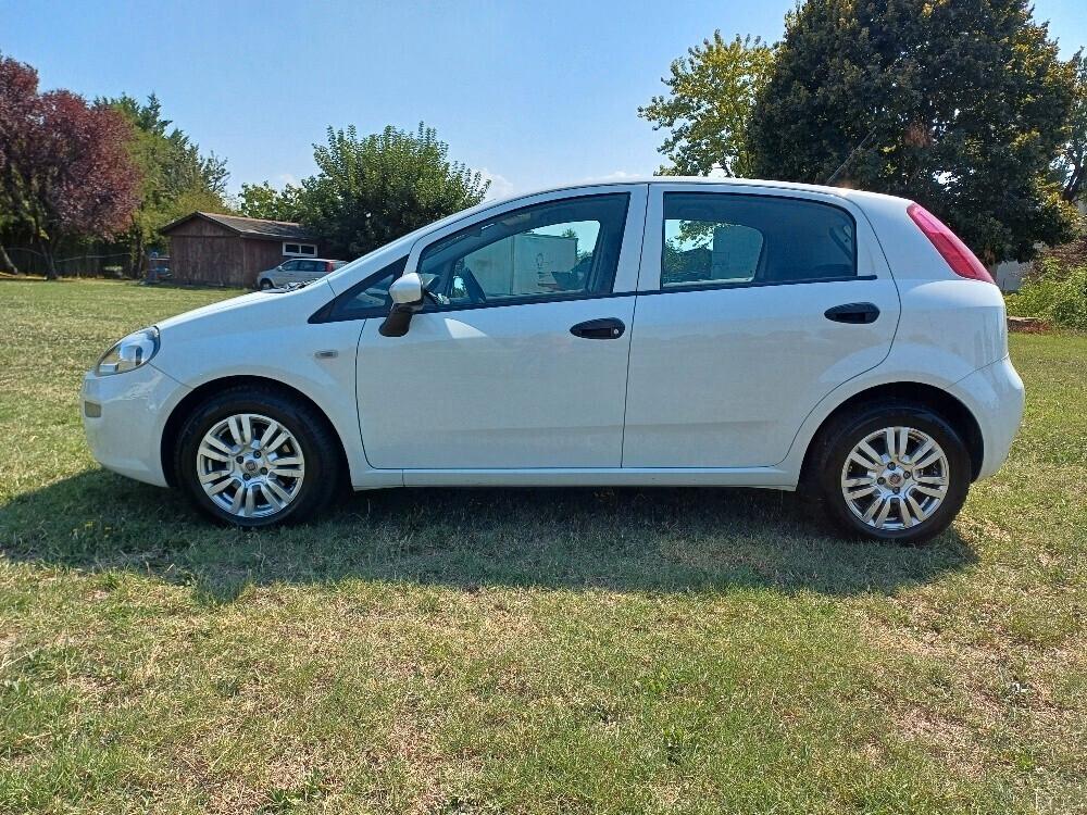 Fiat Punto 1.3 MJT S&S 95 CV 5 porte Street 2017