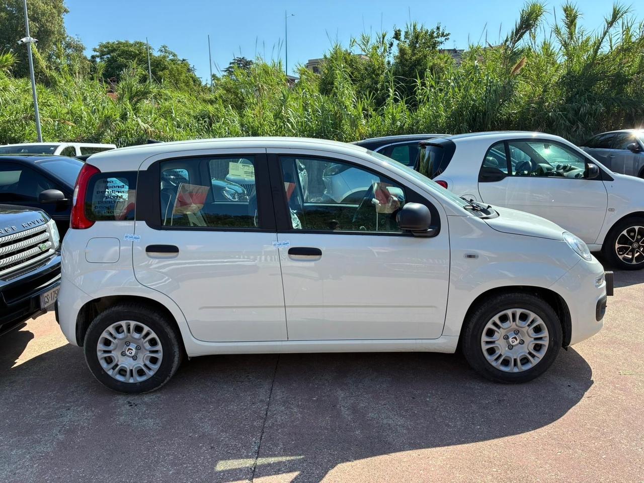 Fiat Panda 1.0 FireFly S&S Hybrid Pandina