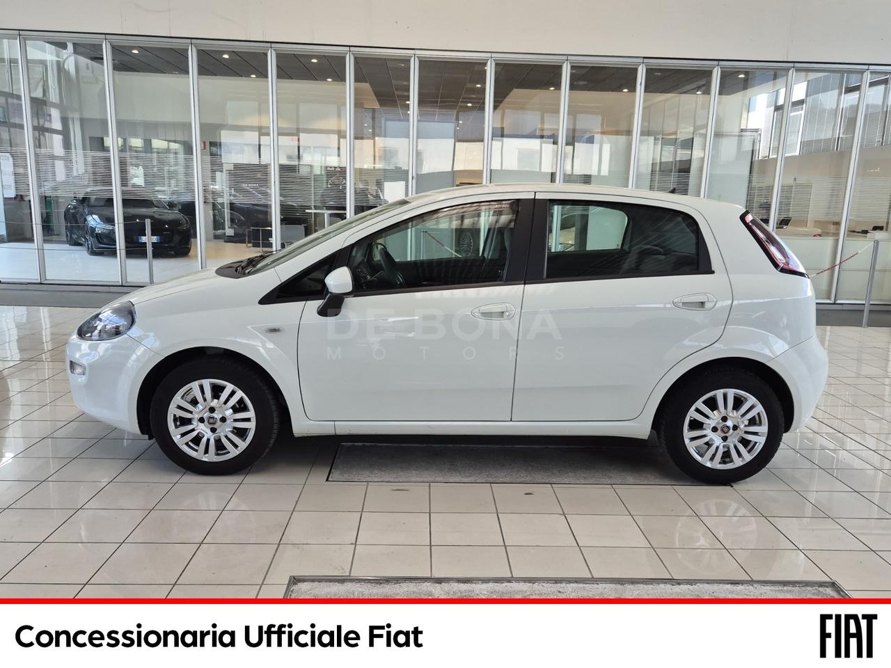 Fiat Punto 5p 1.2 street (easy)