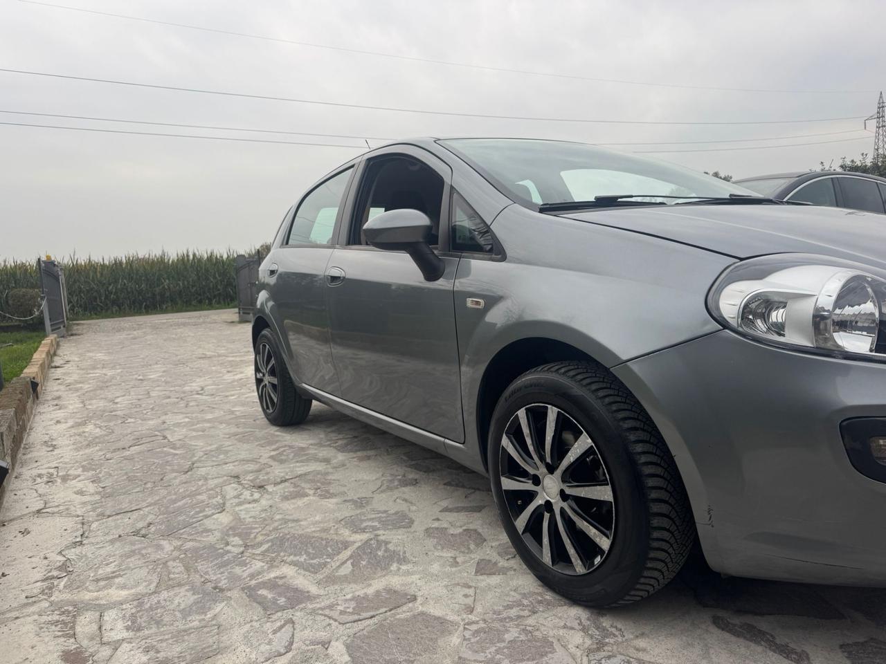 Fiat Punto Evo 1.2 5 porte S&S Dynamic neopatentati