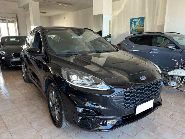 FORD Kuga 1.5 EcoBlue 120 CV aut. ST-Line