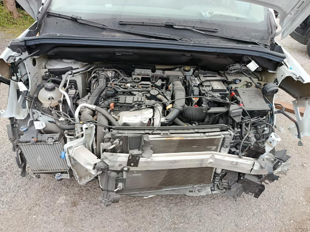 Fiat Doblo 1.5 BlueHdi 100CV Van -2023