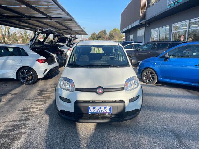 FIAT Panda 1.0 FireFly S&S Hybrid #VARI COLORI