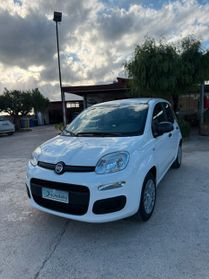 Fiat Panda Pandina 1.0 FireFly 65 CV Hybrid Icon