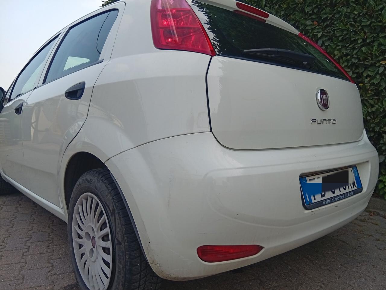 Fiat Punto 1.4 2016 5 porte Street gpl