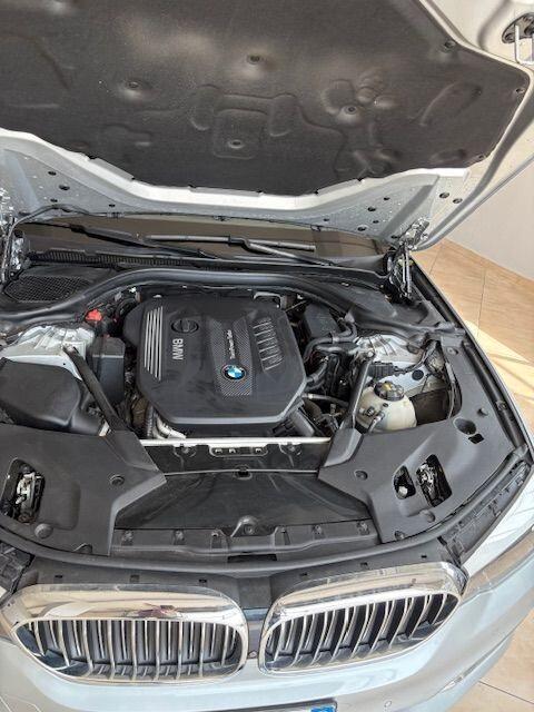 Bmw 530 530d xDrive 258CV Luxury