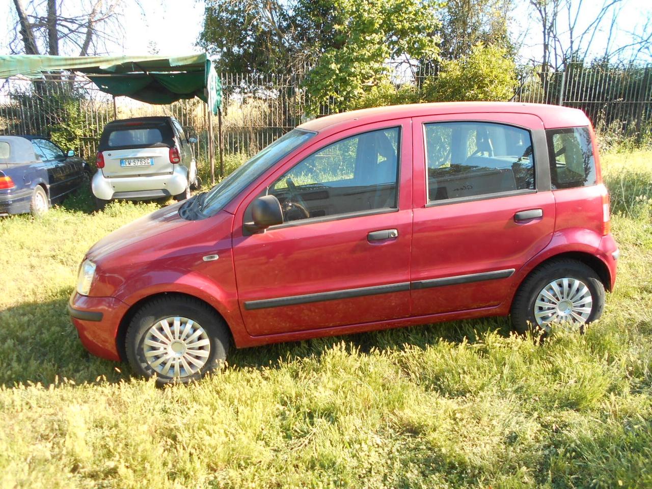 Fiat Panda 1.2 Dynamic EURO 5 NEOPATENTATI