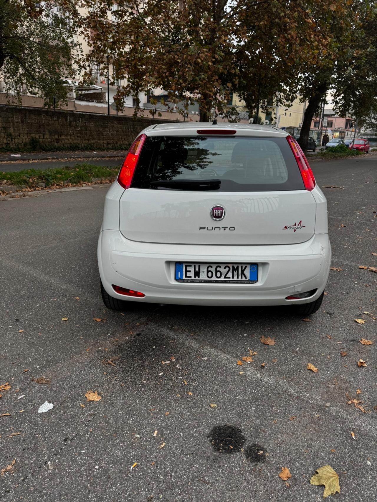 Fiat Punto 1.3 MJT II 75 CV 5 porte Street