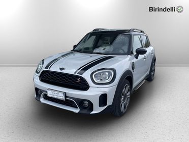 MINI Mini Countrym.(F60) - Mini 2.0 Cooper S Yours Countryman